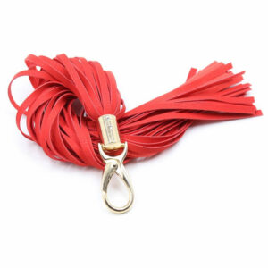 Bič z zlatim karabinom Hook