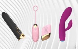 Navodilo za uporabo igrač z baterijekimi vložki